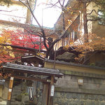 静保庵 小柳 - 紅葉がきれいでした