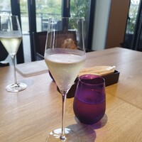 スミレオオサカ - 