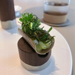 SOIGNE - ☆9イカ＆メロン