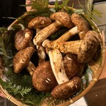 食堂 みやざき - 