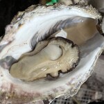 唐泊恵比須かき小屋 - 