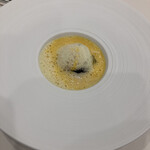 メゾン フジヤ ハコダテ - 