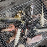 唐泊恵比須かき小屋 - 