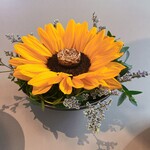 SOIGNE - ☆9イタリア・フィレンツェの「フロランタン」　