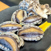 ニュー松坂 西宮北口店 - 