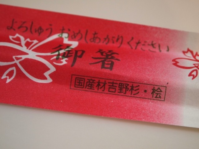 Umeda Yoshino Zushi photo 4