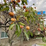 めん処 陣内 - 駐車場