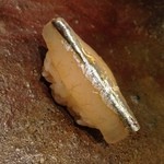 すし処 ひさ田 - さより