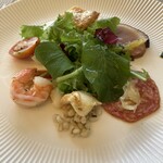 ベルヴェデーレ - 