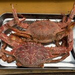 カキハウス 内海湾 - 