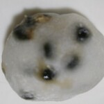 湖月堂 - 料理写真: