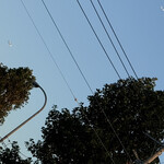 南房総 やまと寿司 - 食べ終えて出たらもう夕方で、旅客機が2機上下に並んで成田か羽田を目指していた