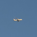 南房総 やまと寿司 - と書いていたら次のが来たw。5分おきくらいに来る。