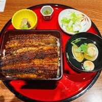 炭焼 うな富士 有楽町店 - 