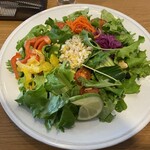 ホリスティックビオカフェ ベジーウェイ - 贅沢！美腸サラダプレート