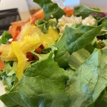ホリスティックビオカフェ ベジーウェイ - 贅沢！美腸サラダプレート