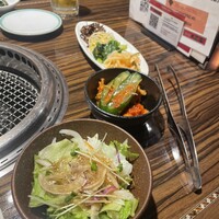上野太昌園 上野別館 - 