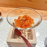 鮨ト酒肴 富かわ - 