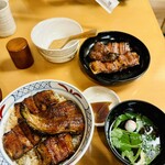 辻屋 - 鰻重並（手前）と蒲焼（奥）