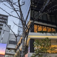 福岡焼肉kintan - 