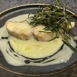 ヤマガタ0035 アル・ケッチァーノ コンチェルト - 