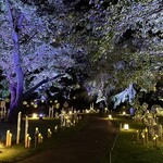 フランス料理 ル・トリアノン - 