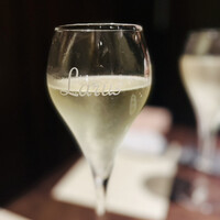 オッジ ダルマット 西麻布店 - 