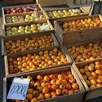 館鼻岸壁朝市 - 