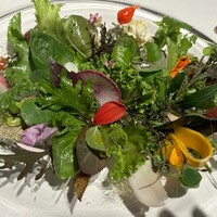 レフェルヴェソンス - 