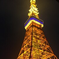 ワカヌイ グリル ダイニング バー 東京 - ライトアップした東京タワー
