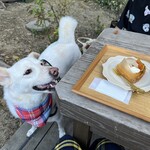 あひる菓子店 - 僕も欲しいワン♡