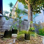 あひる菓子店 - ガーデンパーティー♡