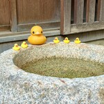 あひる菓子店 - あひる池