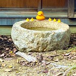 あひる菓子店 - あひるさんの池