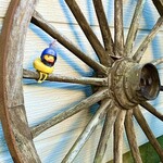 あひる菓子店 - あひる隊長