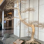 ステーキハウス ウイスキーノヴァ - 