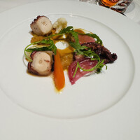 Benoit Alain Ducasse - 