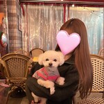 サクラカフェ＆レストラン 池袋 - 