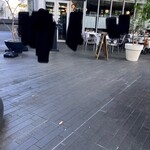 ALLO - テラス席は殆どペット連れ