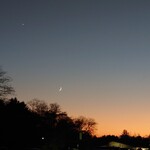 ミカドコーヒー - 