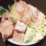 藤吉 - 天然とらふぐちり鍋