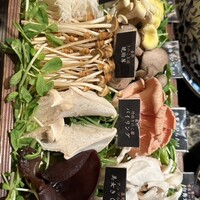 Shangri-La's secret ROPPONGI - 