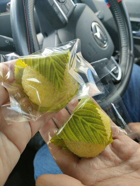 御菓子司 桜屋 &ndash; 飯坂温泉の和菓子店 | 福島市で味わう伝統スイーツ