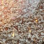 モアナマカイ珊瑚礁 - 