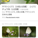 インデアンレストラン  ニューミラ - 