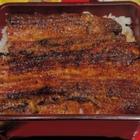 炭焼 うな富士 有楽町店 - 