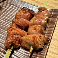 鳥ばか一代 - 