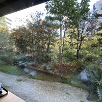 日本料理 山里 - 緑は落ち着きますね