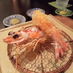 東京肉しゃぶ家 秀彬 - 