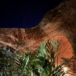 maison owl - TDRを思わせる素敵な夜間空間